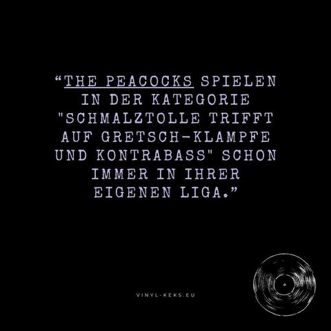 Das Bild enthält einen hell violetten Text auf schwarzem Hintergrund:
“THE PEACOCKS SPIELEN
IN DER KATEGORIE
"SCHMALZTOLLE TRIFFT
AUF GRETSCH-KLAMPFE
UND KONTRABASS" SCHON
IMMER IN IHRER
EIGENEN LIGA.”

