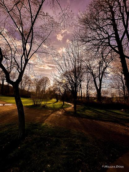 Winterliche Abendstimmung im Schlosspark Lich: Kahle Bäume werfen lange Schatten auf einen geschwungenen Weg, während die tief stehende Februersonne den Himmel in warmen Farben leuchten lässt.