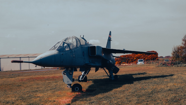 Jaguar 