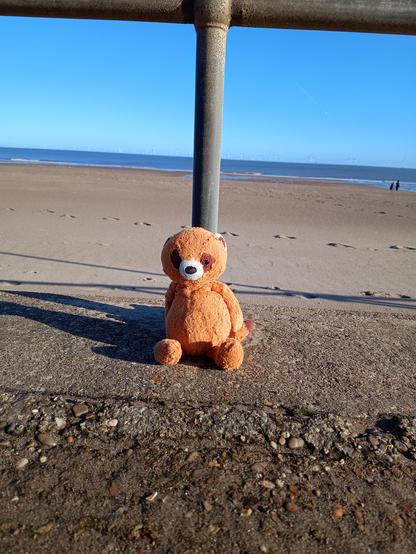 Dwayne Raccoon a Jellycat on the beach