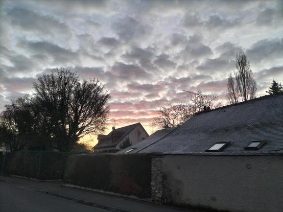 Lever de soleil caché par des maisons. Le ciel est bleu pâle, jaune à l'horizon. Il est rempli de petits nuages gris et roses. Des silhouettes d'arbres nus se détachent