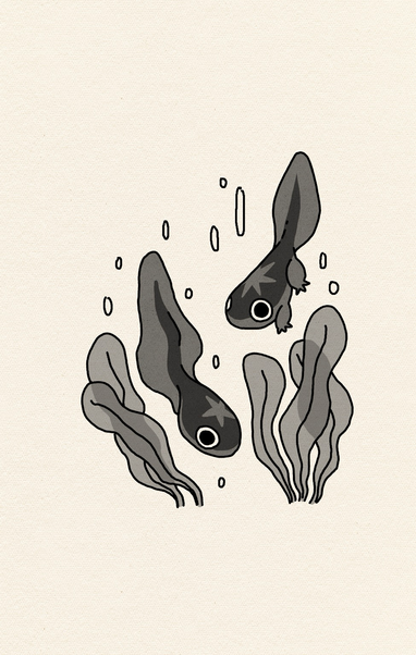 Flash tattoos of baby frogs (what’s the actual name ?) in black and grey