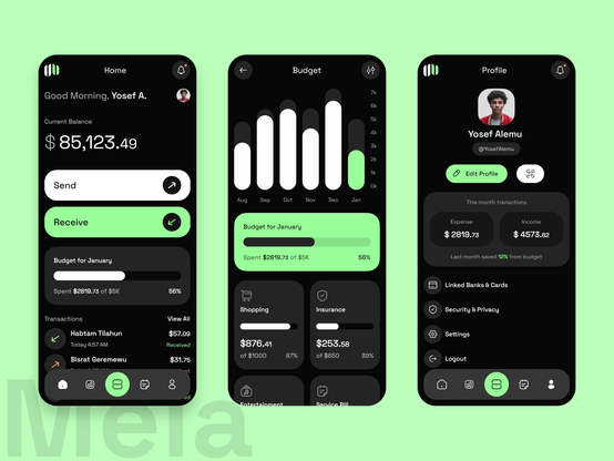 more screens homepage, budget report and profile