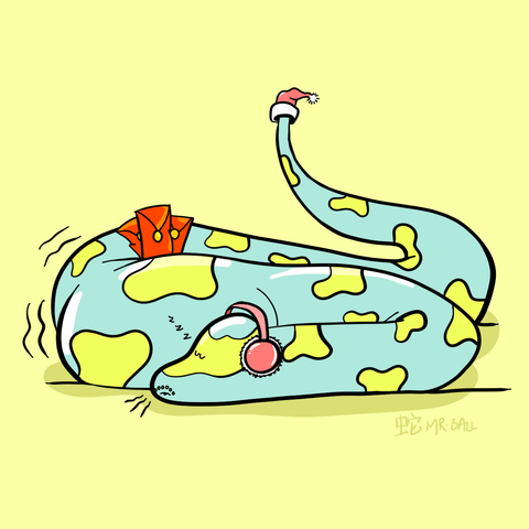 Mr. Ball the snake is well fed and taking a nap