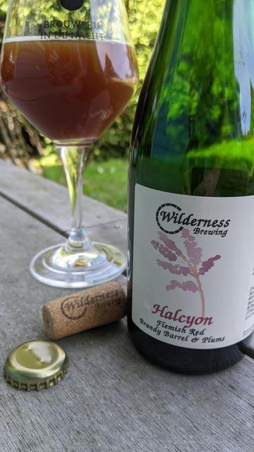 Bottle of Halcyon craft beer by Wilderness next to a poured glass (teku model) and the cork and cap. Positioned on the deck with few of the garden (grass).