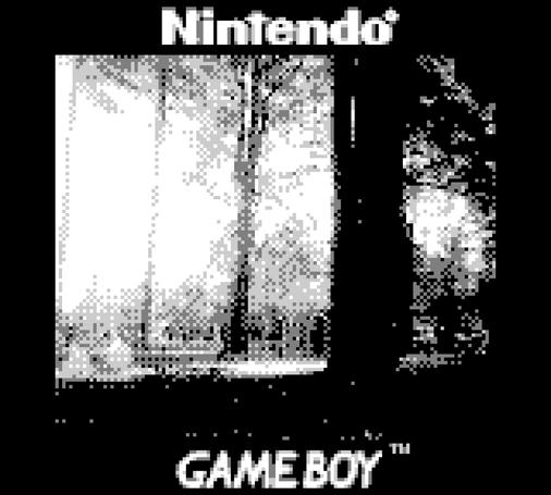 A low resolution black and white image of trees. The larger trees in the foreground are obscured in shadow while the skinnier ones further away are visible in the sunlight. The black border around the photo says "Nintendo" above the photo and "Gameboy" below.  