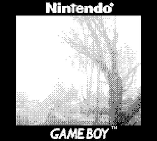 A low resolution, low contrast, pixelated picture of trees. The black border around the photo says "Nintendo" above the photo and "Gameboy" below. 