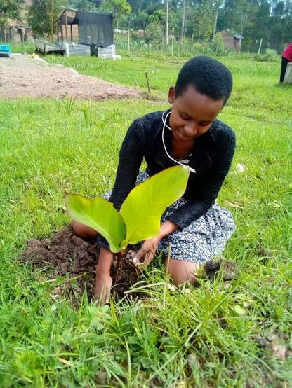 A student planting a 🌼 