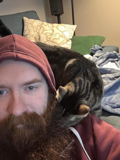 A man with a long beard wearing a maroon hoodie sits on a couch, with a cat resting on his shoulder. The background features a patterned pillow and a blue blanket.