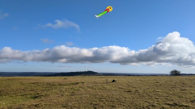 20 - 25 mph gusts make eChan the Moon Goddess fly nearly horizontal.
Prism Vertex Christmas present for company.
