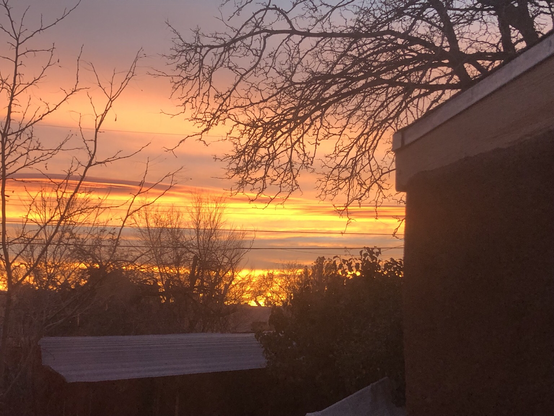 Vibrant orange red and yellow sunrise streaks the sky behind the branches of a wintering tree 