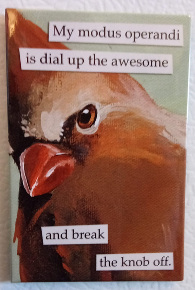 an image of a painting of what i think is a cardinal (or is it a woodpecker?), looking quite fetching at the painter with the following quote broken up in subtitle strips:

my modus operandi 
is dial up the awesome 
and break 
the knob off
