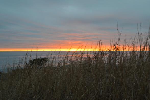 Obstructed View

Tall grasses sway gently in the breeze on a beautiful morning at Marginal Way. The sun is nearing the horizon, and all is right with the world at this very moment. All my worries slip away as I take in this precious gift on the coast of Maine.