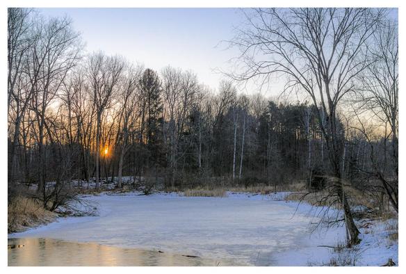 A forest surrounds a frozen pond with the rising sun peaking through some of the trees on the other side of the pond.