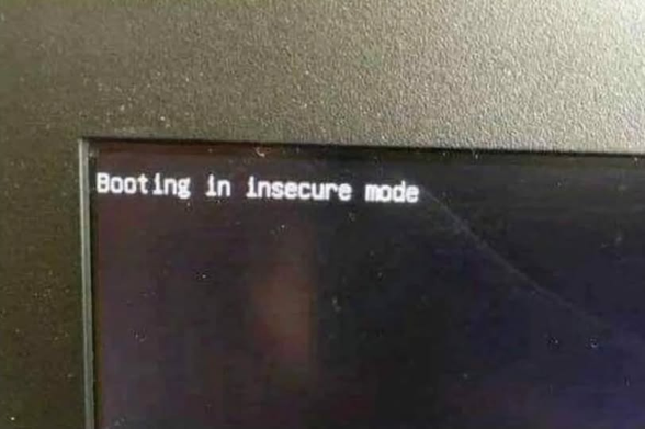 A computer monitor (screen) displays the message 'Booting in insecure mode' in white text on a black background. 