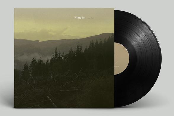 Disque vinyle dont la pochette représente une photo de forêt landaise.