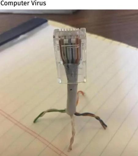 Image titled computer virus. It's an RJ45 connector with a short piece of UTP cable. The plastic sleeve has been cut back a little with the 8 strands of wire twisted in pairs, so the cable has 4 'legs'. The wire stands up on the legs, looking like the typical depiction of a bacteriophage.