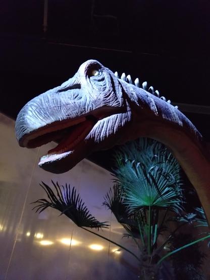 Brachiosaurus (patrně) 