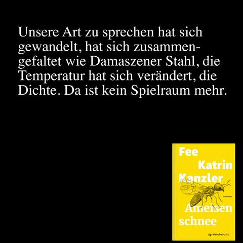 Folgendes Zitat aus Fees Erzählungsband »Ameisenschnee« in weißer Schrift auf schwarzem Grund: Unsere Art zu sprechen hat sich gewandelt, hat sich zusammengefaltet wie Damaszener Stahl, die Temperatur hat sich verändert, die Dichte. Da ist kein Spielraum mehr.