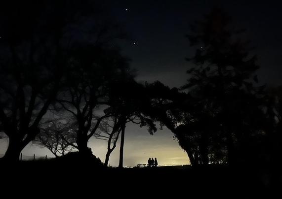 A night shot of three people silhouetted against eerie yellow city lights, framed by whispy trees and branches with stars in the sky above. 