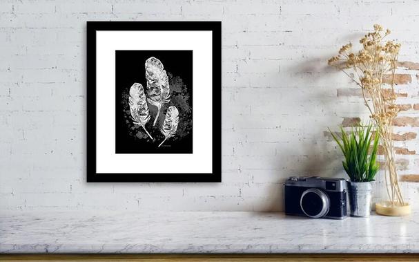 Black and white feathers, framed in a decor setting by artist Sharon Cummings.