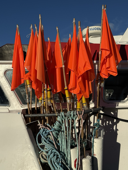 Drapeaux de pêche rouges