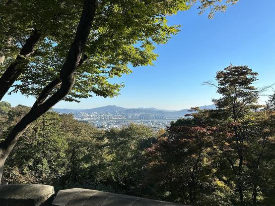 Mais algumas fotinhas legais em Namsan