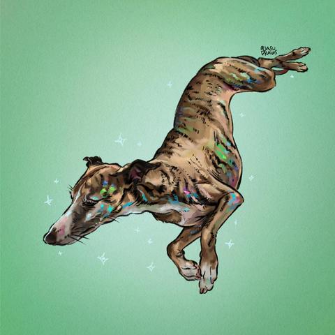 A whippet with eyes closed floating in space
