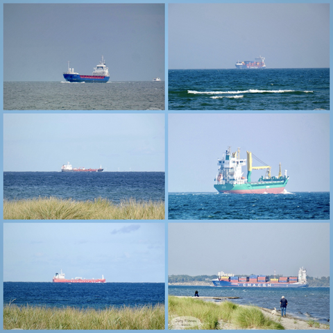 Collage aus sechs Bildern auf denen jeweils verschiedene Containerschiffe auf der Ostsee zu sehen sind 