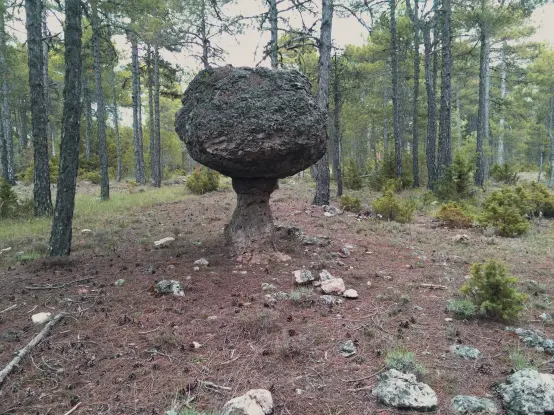 Mushroom rock in a forest near Valdecabras, Cuenca (near Ciudad Encantada). 