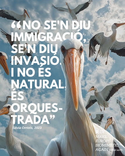 Imatge generada amb IA on es mostra un estol de cigonyes en migració i una d'elles mira directament a pantalla incrèdula davant la cita "no se'n diu immigració, se'n diu invasió i no és natural, és orquestrada" extreta d’un twitt de Silvia Orriols de l'any 2023.