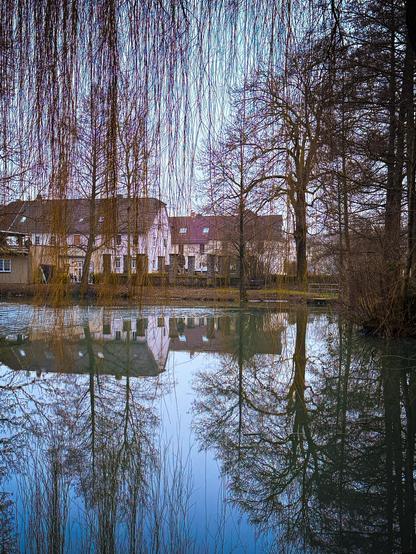 Ruhige Abendaufnahme eines kleinen Gewässers im Schlosspark in Laubach. Im Vordergrund hängen feine, kahle Weidenzweige herab, die sich zusammen mit den kahlen Bäumen am Ufer und den dahinterliegenden Häusern klar im stillen Wasser spiegeln. Die Szenerie wirkt ruhig und verträumt, mit einem Hauch von Melancholie, eingefangen im sanften Licht der blauen Stunde.