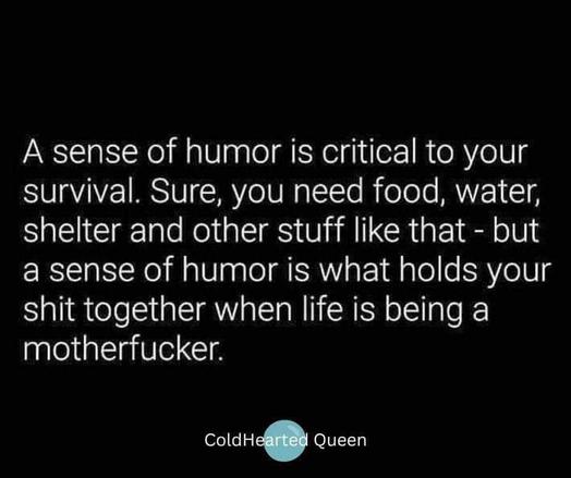 a sense of humor is critical to your survival. Sure, you need food, water, shelter, and other stuff like that - but a sense of humor is what holds your shit together when life is being a motherfuck
ColdHeartedQueen