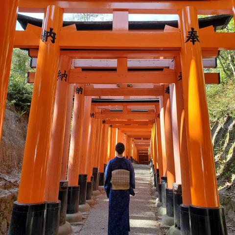 Nao-san walks beneath the famed red gates of Fushimi Inari.