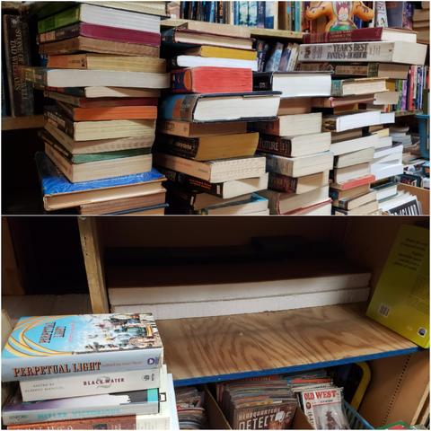 A composite of 2 photos regarding books. The top photo shows 5 side-by-side stacks totalling more than 60 books. The seemingly precarious stacks each contain a random distribution of pocket softcovers, full-size hardcovers, trade paperbacks, and book club size hardbacks.

The lower photo shows around 4 feet of nigh empty shelving. A short stack of miscellaneous fiction anthologies rests atopa box in the left foreground. Large styrofoam blocks are recessed in the deep shelves to provide. In a space below the empty shelf are 3 plastic bins containing vintage western & true crime magazines.