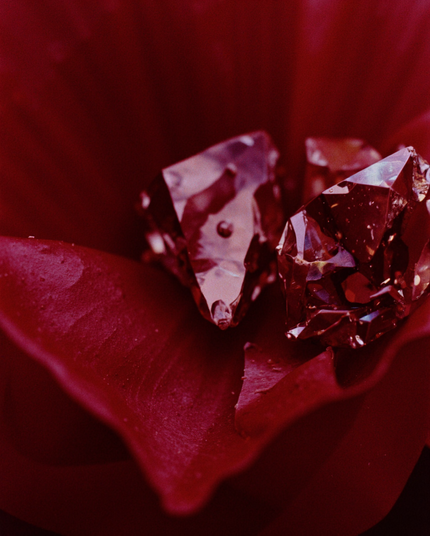 A close-up of reflective chrome crystals resting on deep red petals, bathed in soft natural light. The image evokes a painterly, fine-art aesthetic with subtle bokeh and film grain.