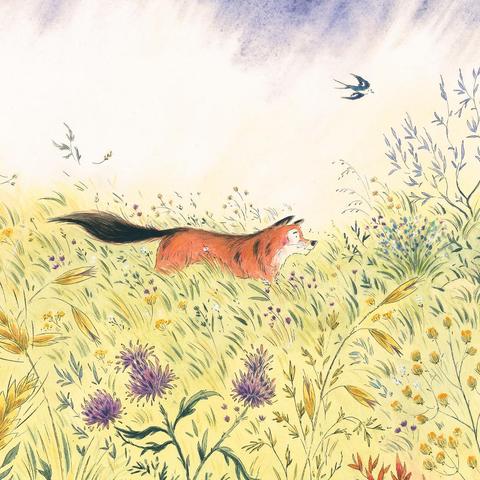 Aquarelle d'un loup brun dans la garrigue par temps d'orage. Illustration de Barbara Brun, publiée au Père Castor.