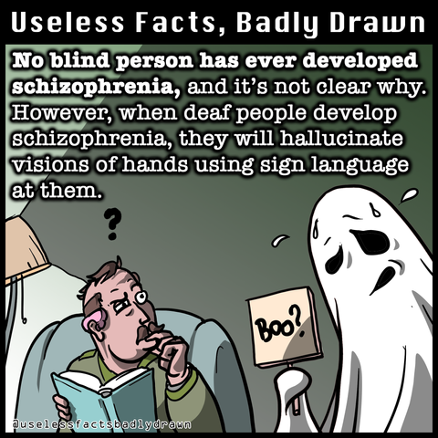 No blind person has ever developed schizophrenia, and it's not clear why.
However, when deaf people develop schizophrenia, they will hallucinate visions of hands using sign language at them.