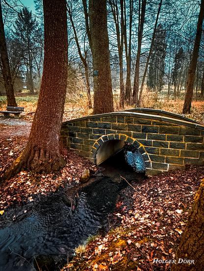 Eine kleine Steinbrücke mit einem gewölbten Durchlass überspannt einen schmalen Bach inmitten einer Parklandschaft. Das Wasser fließt ruhig darunter hindurch, reflektiert das gedämpfte Tageslicht und setzt einen Kontrast zu den warmen Brauntönen des Laubs. Zwei massive Bäume mit verwurzelten Stämmen stehen links neben der Brücke, während im Hintergrund kahle Äste den Himmel durchziehen. Eine einsame Bank auf der linken Seite lädt zum Verweilen ein. Das Bild strahlt eine melancholische, aber auch hoffnungsvolle Atmosphäre aus – die Brücke als Symbol für Übergänge und neue Wege in der Natur.