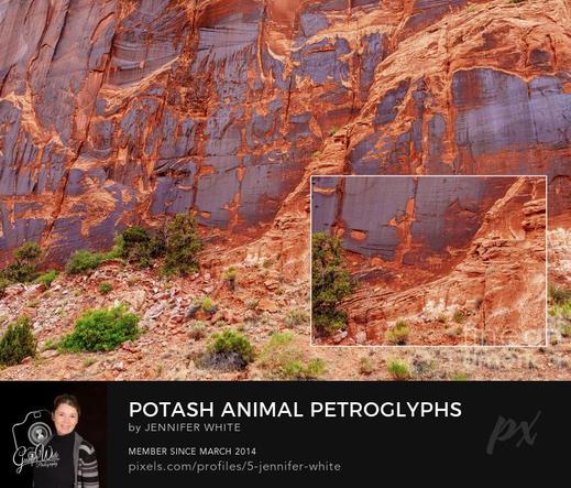 This section of a tall red orange rock cliff wall has petroglyph carvings of some animals. Part of the wall has broken away.
https://5-jennifer-white.pixels.com/featured/potash-animal-petroglyphs-jennifer-white.html
#buyinotart #photography #prehistoric #petroglyph