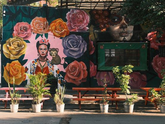 Mural art of Fida kahlo, a monkey sitying on her shoulders, right avove her another mural skull face paintinh
