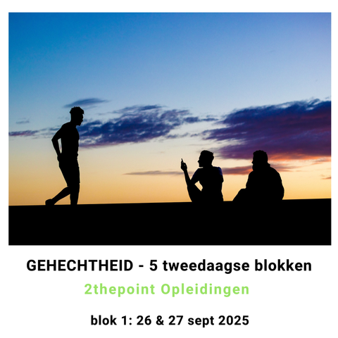 Gehechtheid scholing
