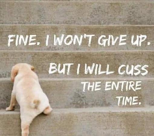 Fine. I won't give up.
But I will cuss
the entire
time.

[pic of puppy going up stairs]