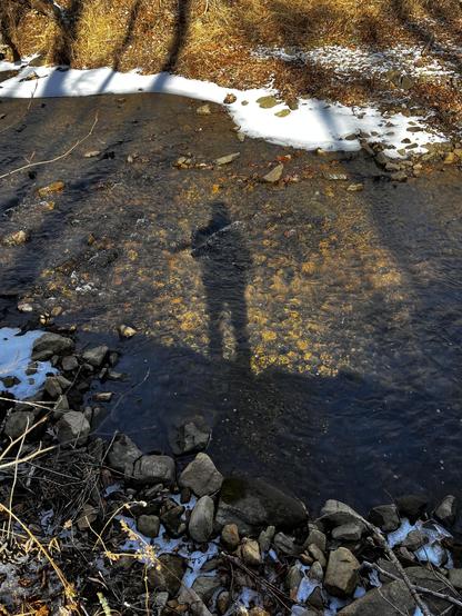 Shadow of a man inhabits the shallow golden waters of the far Upper Passaic River. The water is translucent. Snow lines the far bank, stones the near.