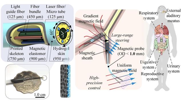 Professor Shen Yajing, Associate Professor at HKUST's Department of Electronic and Computer Engineering, led the development team behind this pioneering robot. The fiberbot comprises four key components: an optical fiber array for real-time imaging, a custom tool for precise treatments, a hollow skeleton created via microscale 3D printing, and a functionalized skin enabling precise control over its movements.