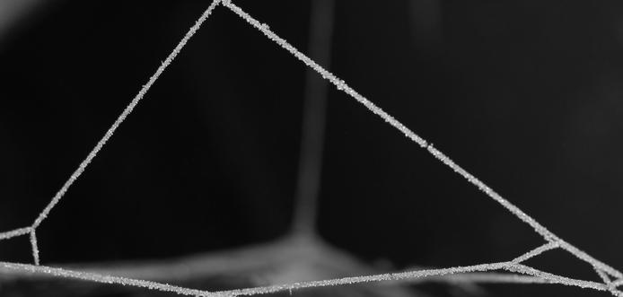 Motiv:
Diese Aufnahme zeigt ein Spinnennetz aus einer noch näheren Perspektive. Die feinen Fäden sind stark vergrößert sichtbar, und die kleinen Kristalle erscheinen fast dreidimensional. Der Hintergrund ist nahezu vollständig schwarz, wodurch sich die Strukturen noch deutlicher abheben.

Stimmung & Wirkung:
Die Nahaufnahme verstärkt den Eindruck von Zerbrechlichkeit und Schönheit. Durch die extreme Vergrößerung sieht das Netz fast wie ein abstraktes Kunstwerk aus.

Technische Details:
Farbe: Schwarz-Weiß
Schärfentiefe: Sehr gering (nur die Netzstruktur ist scharf)
Lichtverhältnisse: Starker Kontrast zwischen Netz und dunklem Hintergrund