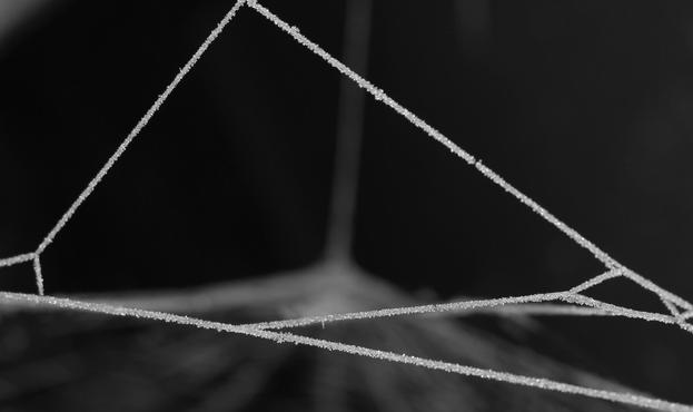 Motiv:
Schwarz-Weiß-Bild eines Spinnennetzes. Der Fokus liegt stark auf den oberen diagonalen Fäden, wodurch das geometrische Muster des Netzes betont wird. Der Hintergrund bleibt dunkel und verschwommen, wodurch die zarten Strukturen besonders gut zur Geltung kommen.

Stimmung & Wirkung:
Wie das erste Bild vermittelt es eine ruhige, minimalistische Ästhetik. Die kleinen Kristalle auf den Fäden wirken fast wie Perlen und geben dem Bild eine kunstvolle Anmutung.

Technische Details:
Farbe: Schwarz-Weiß
Schärfentiefe: Gering (Netz im Fokus, Hintergrund weichgezeichnet)
Lichtverhältnisse: Sanfte Kontraste
