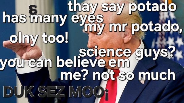 Prez gump says
they say potado
has many eyes
my mr potado
only too!
science guys?
you can believe em
me? not so much

DUK SEZ MOO¡