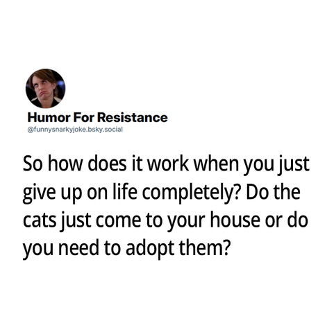 so how does it work when you just give up on life completely? Do the cats just come to your house or do you need to adopt them?
