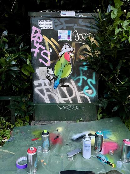 Electrakastje met graffiti van papegaaitje